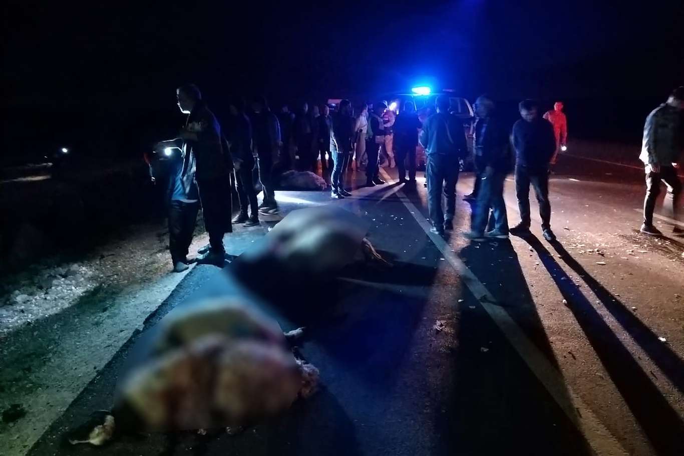 Şanlıurfa'da otomobil koyun sürüsünün arasına daldı!