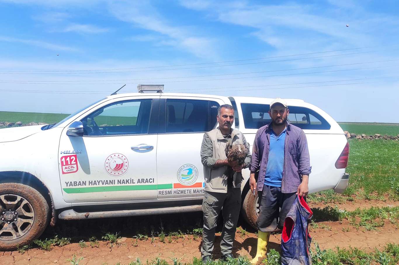 Şanlıurfa'da yaralı kara çaylak kuşu bulundu
