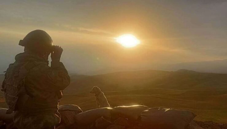 Şanlıurfa sınırında 10 PKK'li öldürüldü