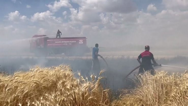 Şanlıurfa'da buğday tarlasında yangın!