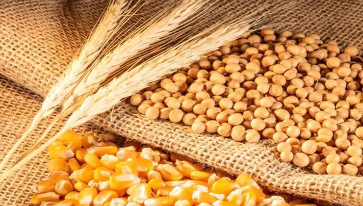 Tarım ürünlerine ihracattan önce ithalat şartı