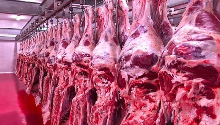 Et ve Süt Kurumu büyükbaş karkas etin üreticiden alım fiyatını yükseltti