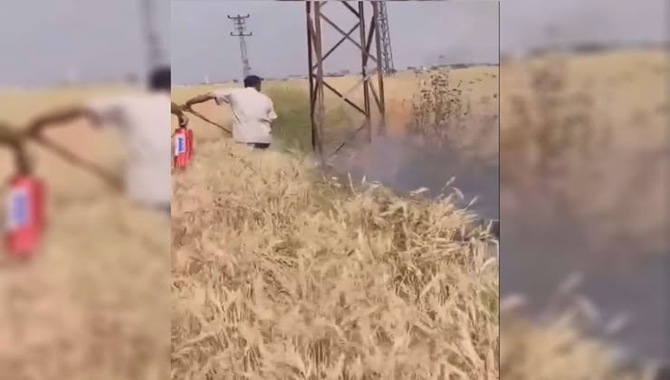 Şanlıurfa'da buğday tarlasında yangın çıktı