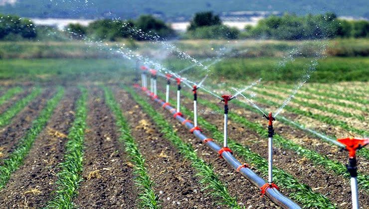Çiftçilere müjde: Sulama projelerine 300 milyonluk hibe