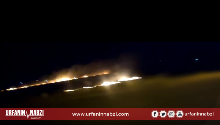 Şanlıurfa’da uyarılara rağmen anız yangınları devam ediyor
