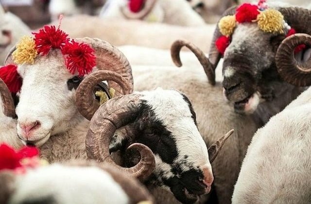 Borçlunun kurban kesmesi gerekir mi?