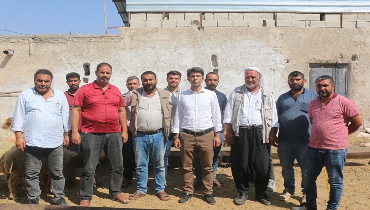 Özaslan: Şanlıurfa'da hayvan borsası var ama resmi statüsü yok