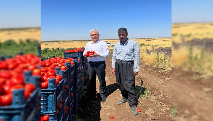 Gök, sebze fiyatlarının haksızca artırılmasına tepki gösterdi!