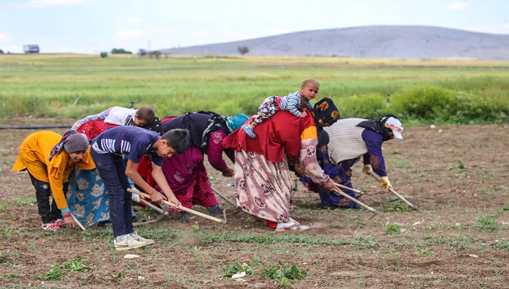 Mevsimlik işçilikte yeni bir uygulamaya geçiliyor