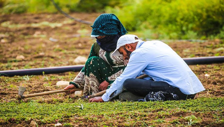 Mevsimlik işçilikte yeni bir uygulamaya geçiliyor
