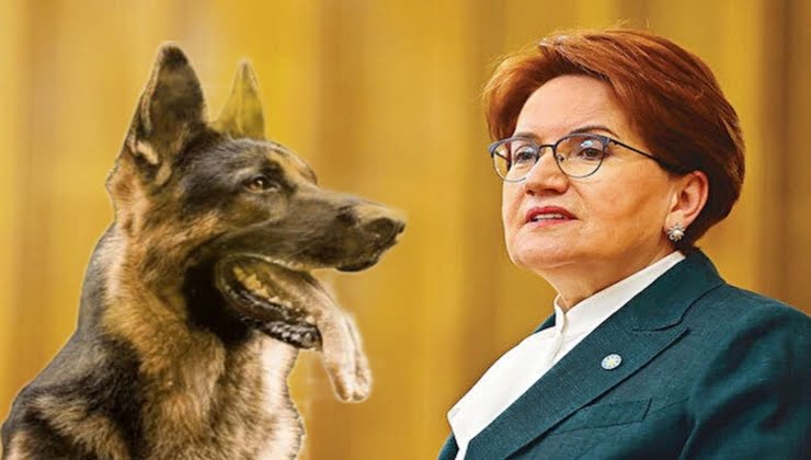 Akşener'i köpek ısırdı