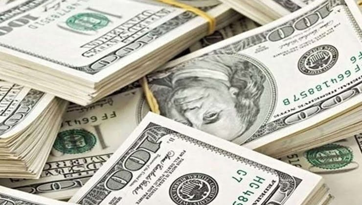 Dolar kurunda son durum