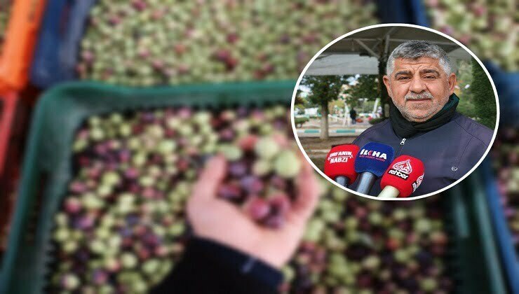 Urfa'da yeşil zeytin tezgâhlardaki yerini aldı