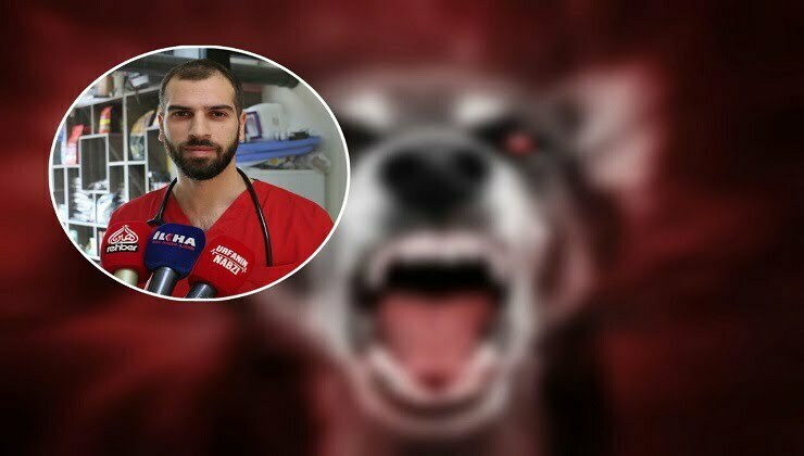 Uzmanlar kuduz vakalarına karşı uyardı! Isırılma sonrası hangi önlemler hayat kurtarır?