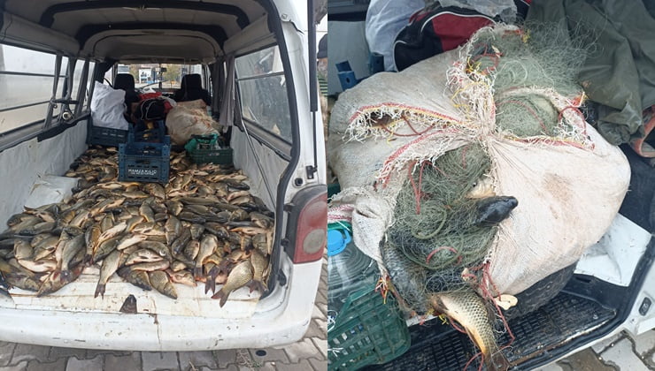 Urfa'da kaçak balık avlayan şahsa ceza!