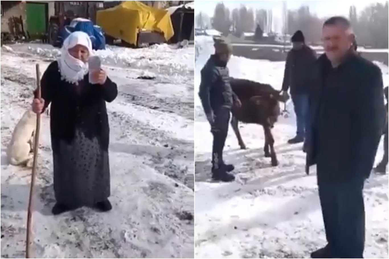 Düvesini satan yaşlı kadın, parasını depremzedelere bağışladı