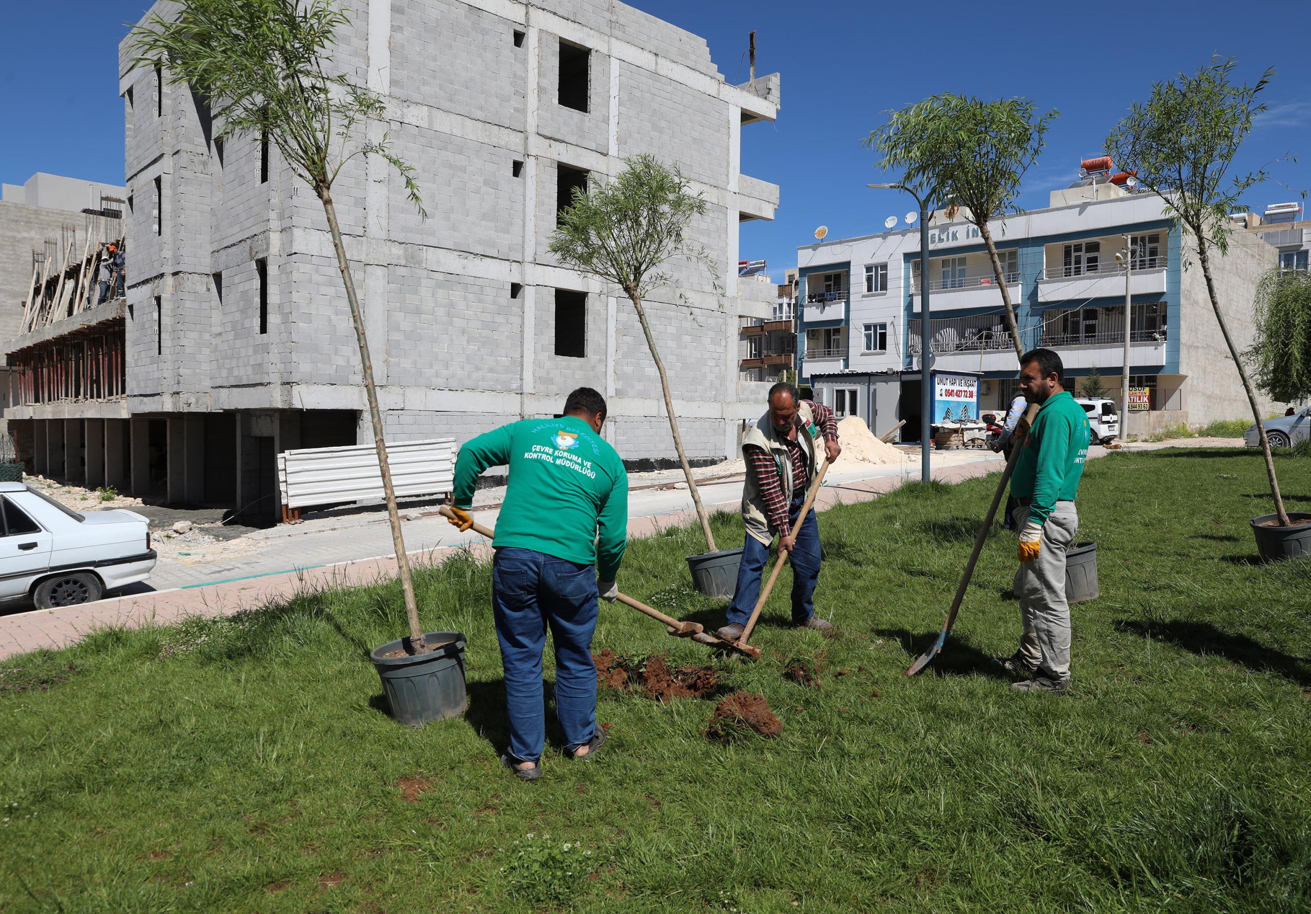 Urfa'da ağaçlandırma çalışmaları sürüyor