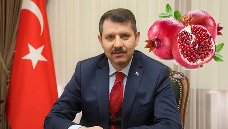 Vali Ayhan'dan Suruç Narı paylaşımı