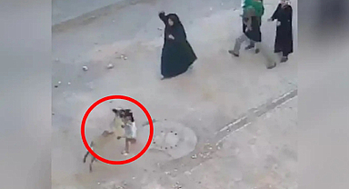 Başıboş sokak köpeğinin saldırısına uğrayan çocuk yaralandı