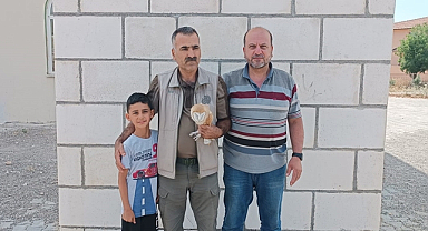 Bitkin halde bulunan peçeli baykuş koruma altına alındı