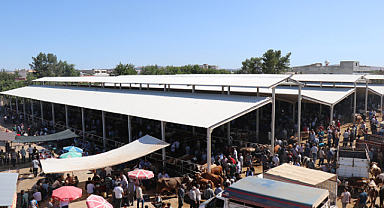 Bozova Yaylak Hayvan Pazarı yarından itibaren açık olacak