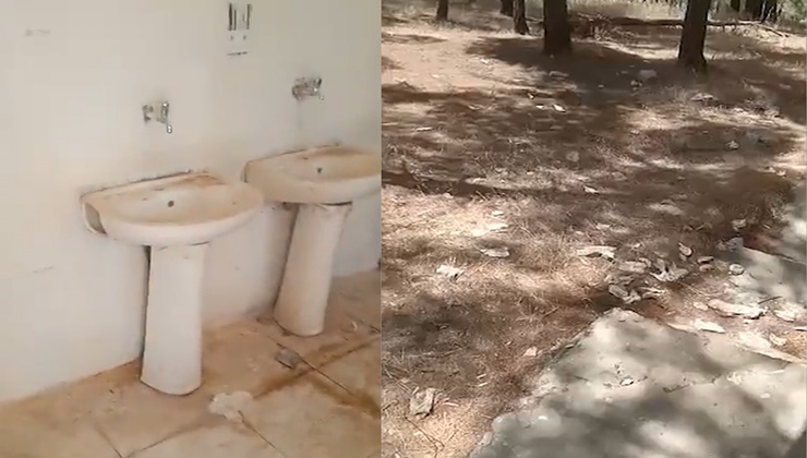 Şanlıurfa'da bu orman kaderine terk edildi!