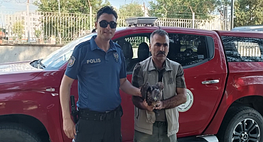 Şanlıurfa'da bitkin halde bulunan kızıl şahin koruma altına alındı