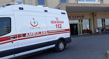Arıların saldırısına uğrayan şahıs hayatını kaybetti