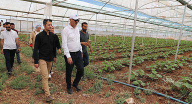 Başkan Kuş Eyyübiye Sera Kent'te incelemelerde bulundu