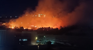 Şanlıurfa'da ormanlık alanda yangın