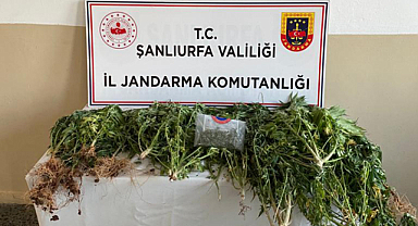 Şanlıurfa'da uyuşturucu operasyonu! Gözaltı ve tutuklama var
