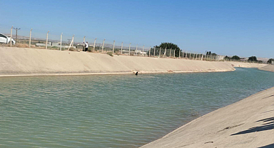 Urfa'da kanala giren kuzenler kayboldu