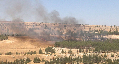 Urfa'da bir yangın daha!