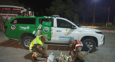 Çuvallara sarılmış yaralı ceylanlar kurtarıldı
