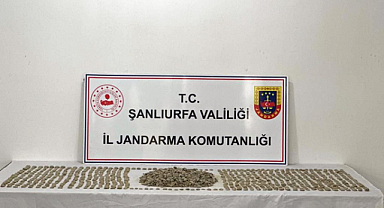 Roma döneminden kalma 5 bine yakın tarihi eser ele geçirildi