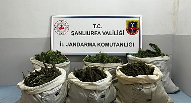 Şanlıurfa'da esrar ele geçirildi