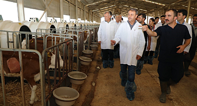 Vali Şıldak: Dünyada 50'den fazla ülkenin arazisinden daha büyük bir çiftlik