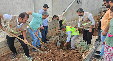 Şanlıurfa'da '1 Kurban 1 Fidan Kampanyası' sürüyor
