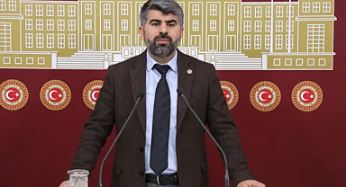 Milletvekili Dinç: Bir an önce başıboş köpeklere yönelik bir çözüm bulunsun