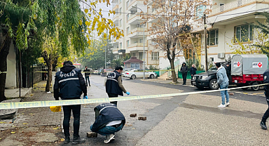 Urfa'da silahlı kavgada kan aktı!
