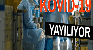 Dünya Sağlık Örgütü'nün Kovid-19 açıklaması