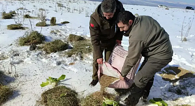 Kar yağışından etkilenen yaban hayvanlarını unutmadılar!