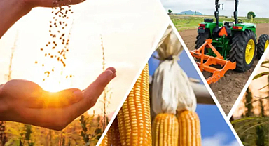 Tarım ürünleri üretici fiyatları ne kadar arttı?
