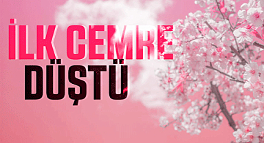 Baharın müjdecisi ilk cemre düştü