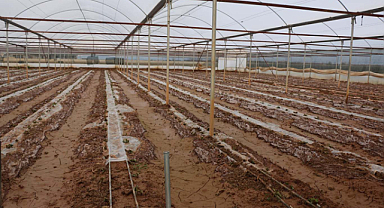 Şanlıurfa'da şiddetli yağışın faturası ağır oldu