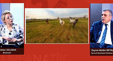 Beyazgül ortaya çıkan belgelerle ilgili konuştu: İnan ki ben hiç anlamam, bu işlere de ben bakmam