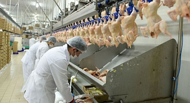 Tavuk eti ihracatına bakanlıktan ceza