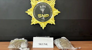 2 kilo 100 gram skunk maddesi ele geçirildi