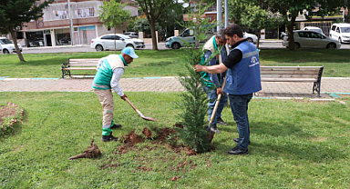 Haliliye Belediyesi peyzaj çalişmasi ile parklari güzelleştiriyor