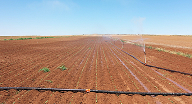 Şanlıurfa'da 2024 yılı tarım ürünlerinin sulama sezonu başladı